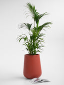CALMA RED TERRACOTTA (L)
