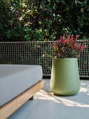 CALMA OLIVE GREEN (M)