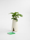 AVRA SILICA WHITE (L)