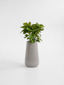 AVRA ELEGANT GREY (L)