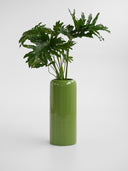 NOA GOLF GREEN