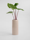 NOA DESERT WHITE