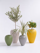AMPHORA DESERT WHITE (L)