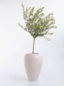 AMPHORA DESERT WHITE (L)