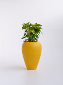 AMPHORA POLKA YELLOW (L)