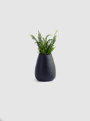 SOMA BLACK MALT (M)