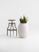 POTHOS SILICA WHITE (L)
