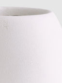 POTHOS SILICA WHITE (L)