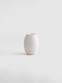 POTHOS SILICA WHITE (L)