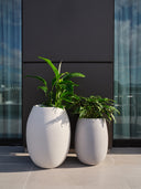 POTHOS SILICA WHITE (L)
