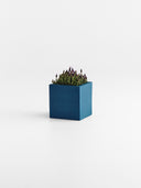 KIVO BLUE DOME (S)