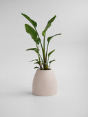 CHORA DESERT WHITE (S)