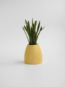 CHORA BUTTER YELLOW (S)