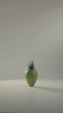 AMPHORA OLIVE GREEN (M)