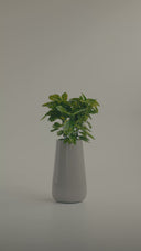 AVRA ELEGANT GREY (L)