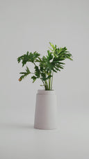 GAIA SILICA WHITE (L)