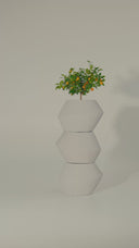 ELXI ELEGANT GREY (L)