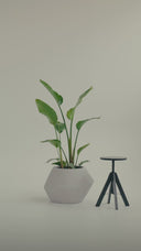 ELXI ELEGANT GREY (L)
