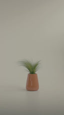 AVRA ANCIENT TERRACOTTA (S)