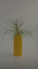 NOA POLKA YELLOW