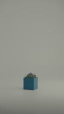 KIVO BLUE DOME (S)
