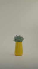 AVRA POLKA YELLOW (M)