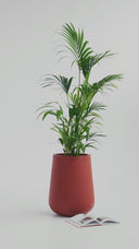 CALMA RED TERRACOTTA (L)