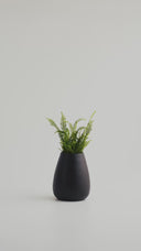 SOMA BLACK MALT (M)