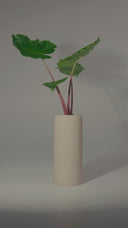 NOA DESERT WHITE