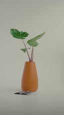 SOMA ORANGE CRUSH (L)