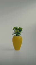 AMPHORA POLKA YELLOW (L)