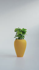 AMPHORA POLKA YELLOW (L)