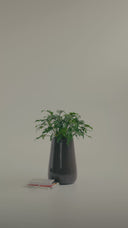 AVRA BLACK MALT (Μ)