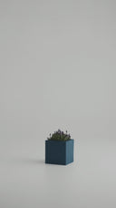 KIVO BLUE DOME (S)