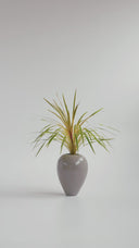 AMPHORA ELEGANT GREY (M)